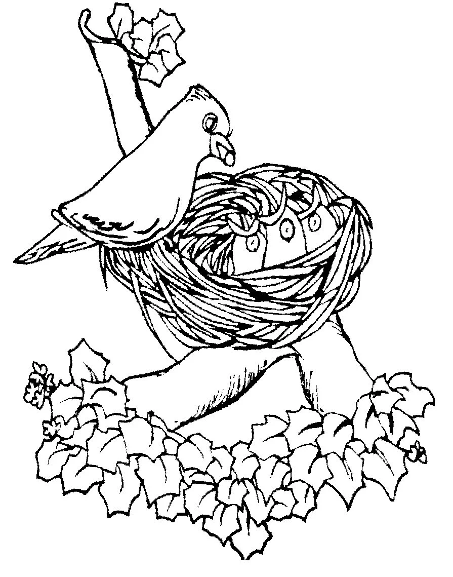 Spring Coloring Pages 17