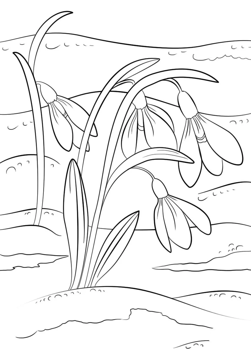 Spring Coloring Pages 18