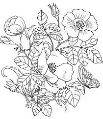 Spring Coloring Pages 35