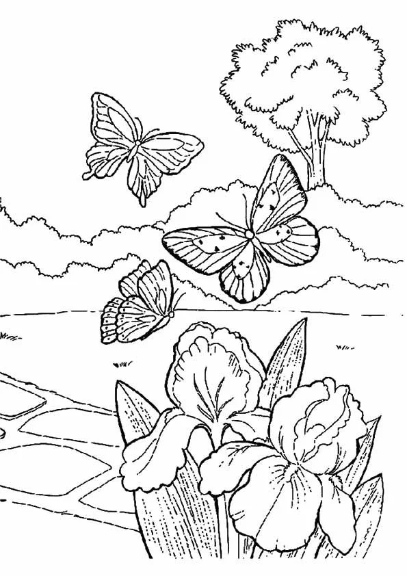 Spring Coloring Pages 38