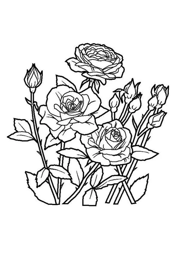 Spring Coloring Pages 57