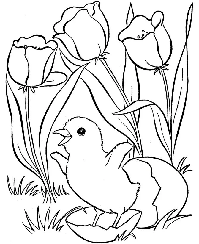 Spring Coloring Pages 85