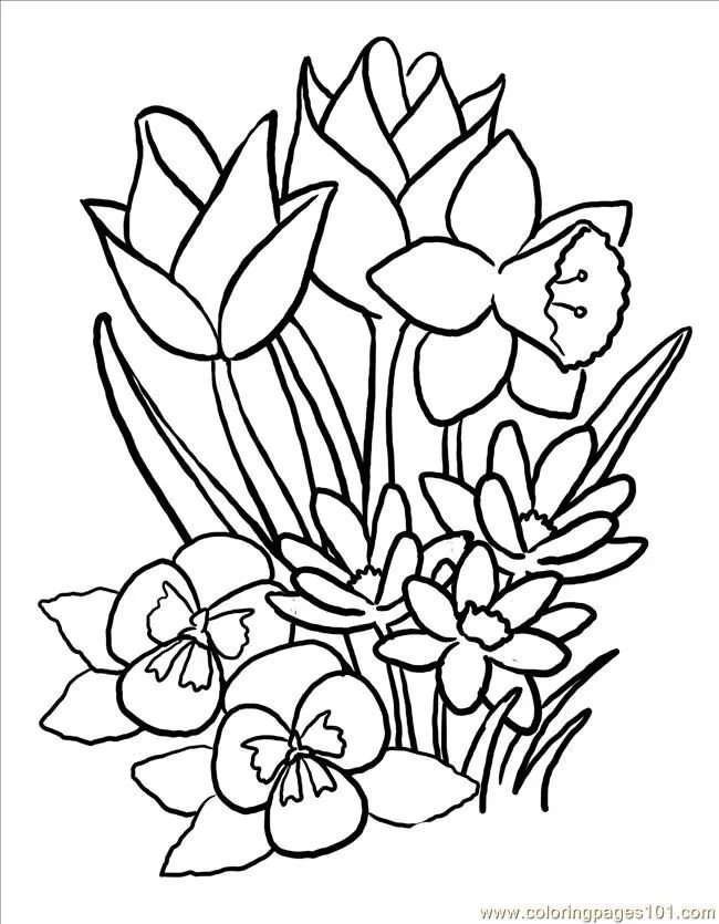 Spring Flowers Coloring Pages 1