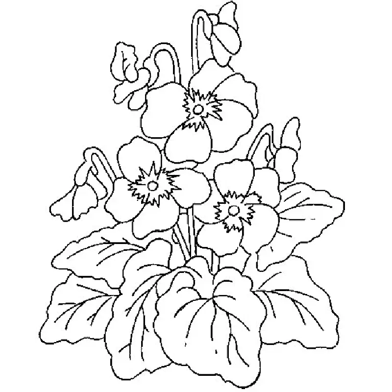 Spring Flowers Coloring Pages 15
