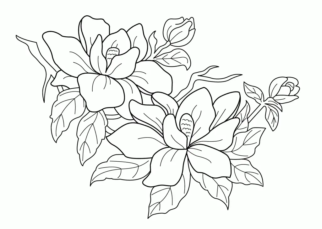 Spring Flowers Coloring Pages 18