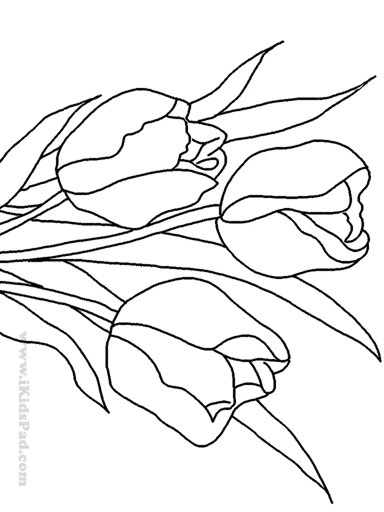 Spring Flowers Coloring Pages 22