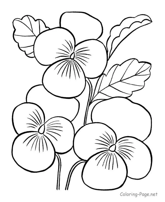 Spring Flowers Coloring Pages 34