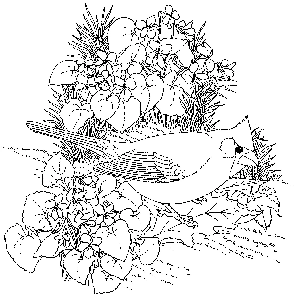 Spring Flowers Coloring Pages 35