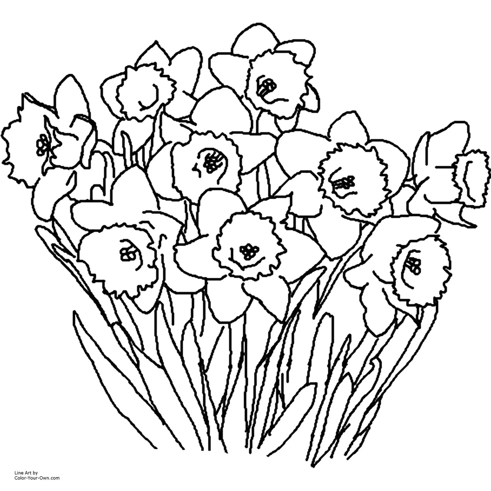 Spring Flowers Coloring Pages 4