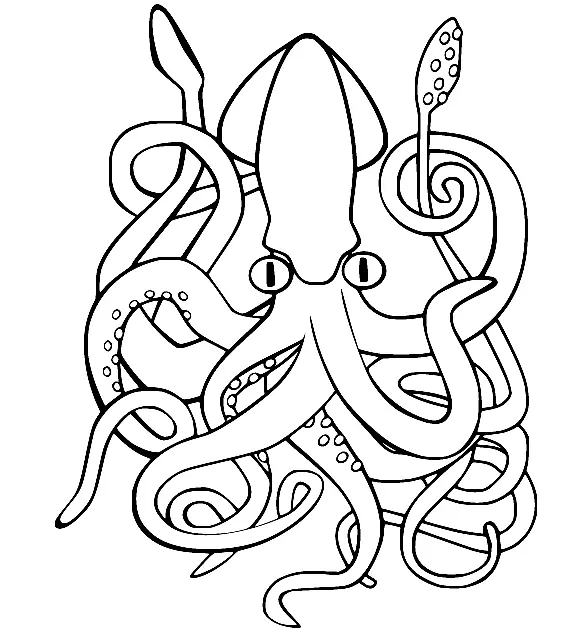 Desenhos de Lula Para Colorir 16