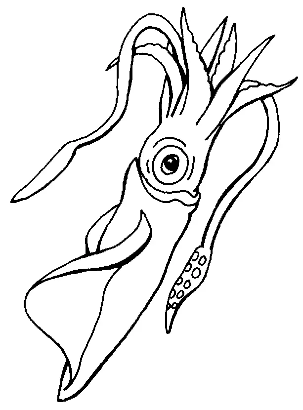 Desenhos de Lula Para Colorir 30