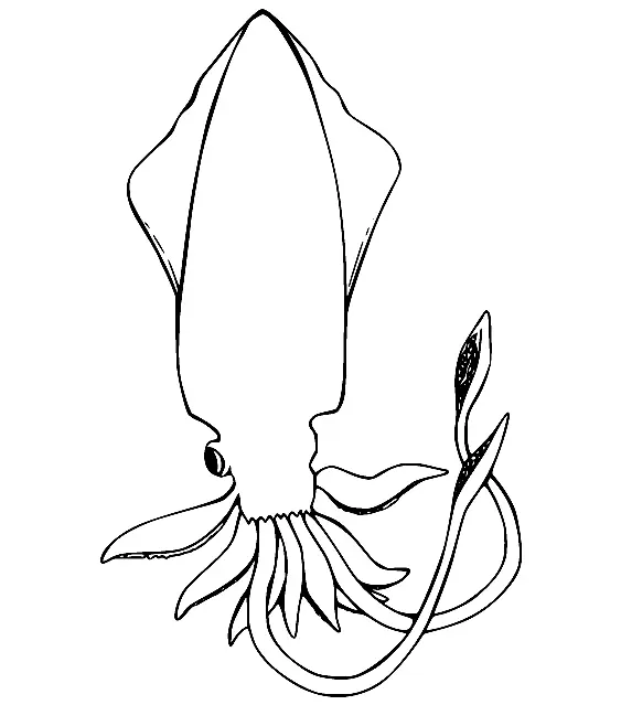 Desenhos de Lula Para Colorir 34