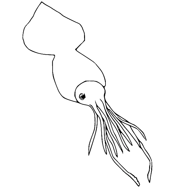 Desenhos de Lula Para Colorir 4