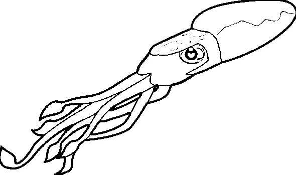 Desenhos de Lula Para Colorir 40