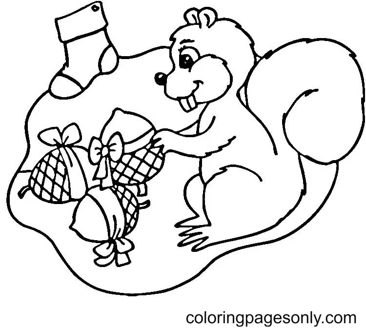 Squirrel Coloring Pages 113