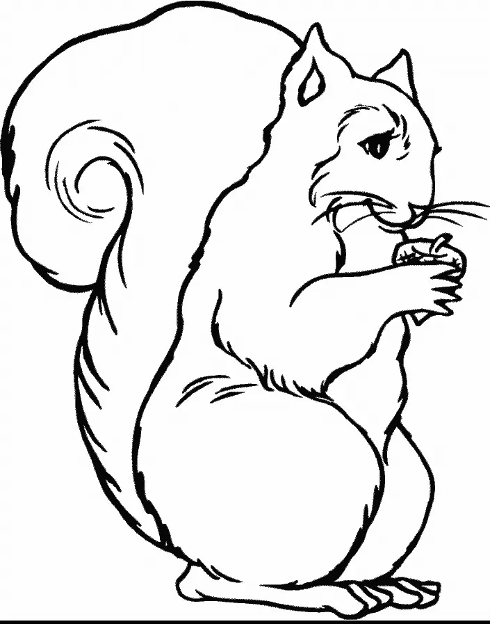 Squirrel Coloring Pages 30