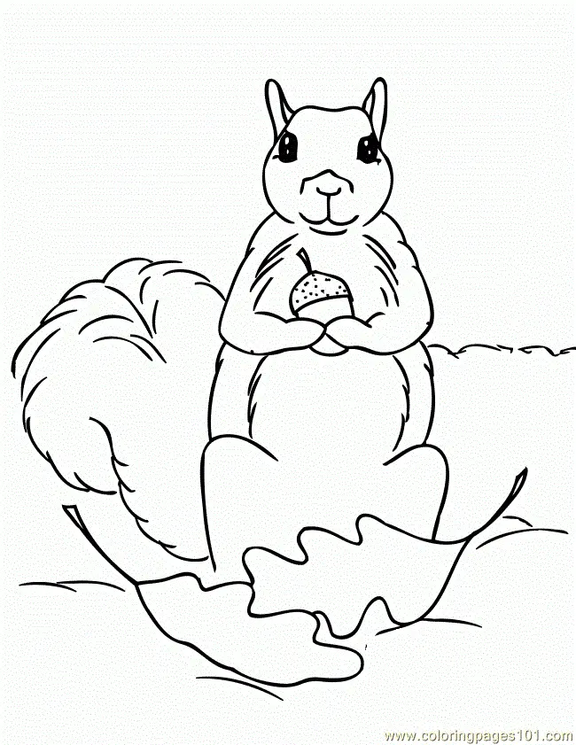 Squirrel Coloring Pages 37