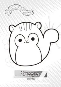 Desenhos de Squishmallow Para Colorir 22