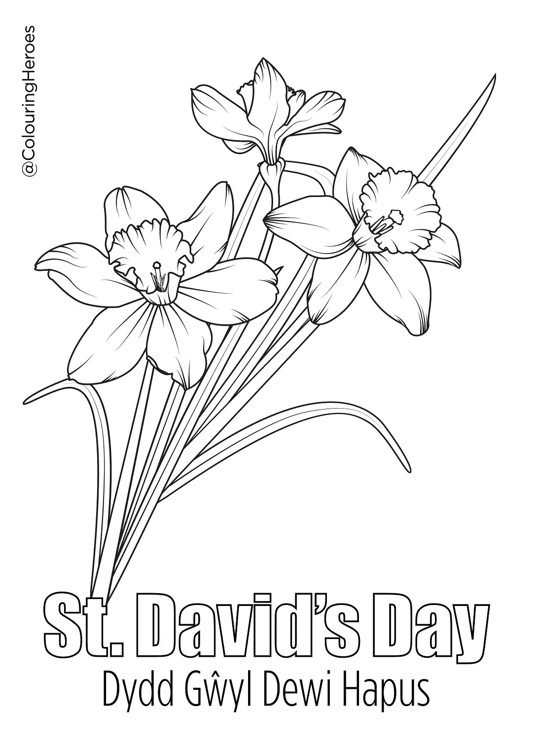 Del Dia De San David Para Colorear 4
