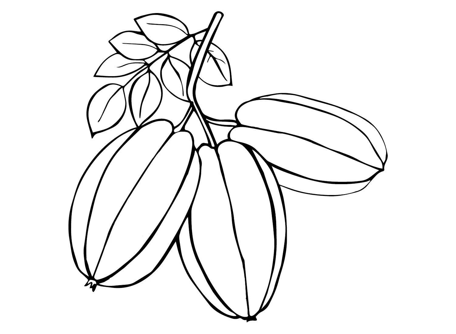 Desenhos de Carambola Para Colorir 16
