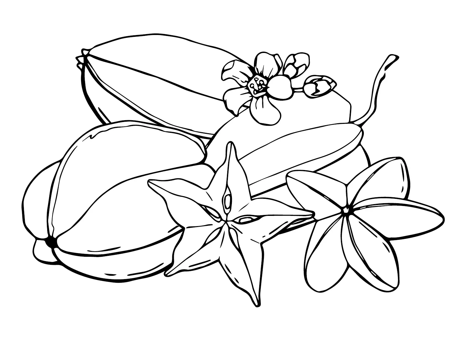 Desenhos de Carambola Para Colorir 29