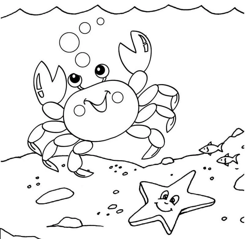 Starfish Coloring Pages 45