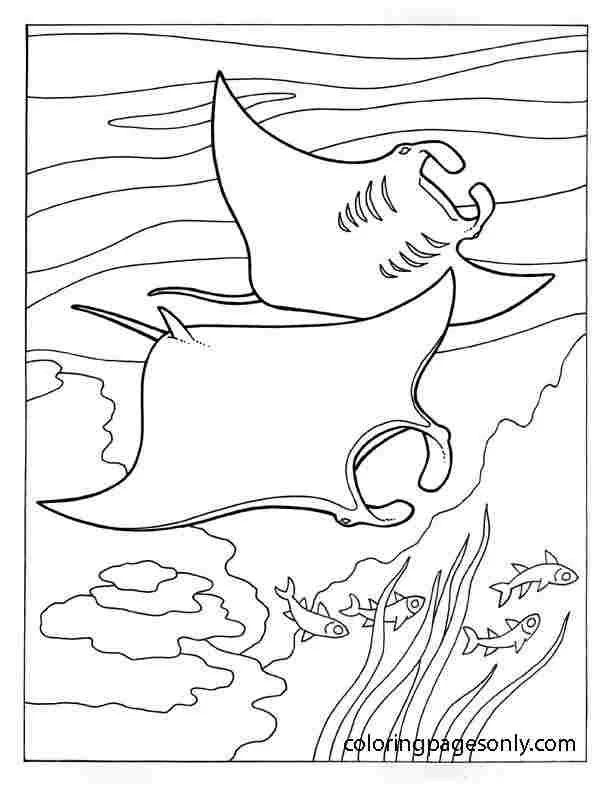 Stingray Coloring Pages 1