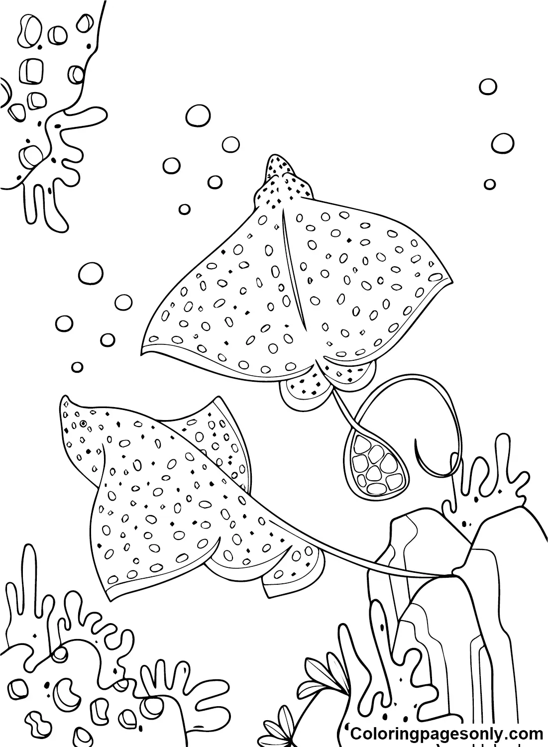 Stingray Coloring Pages 10