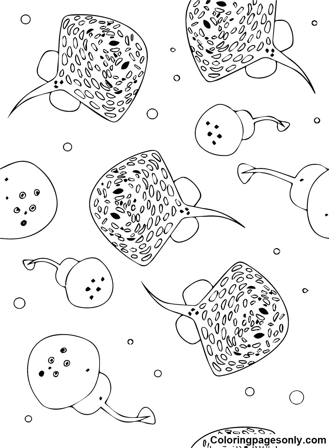Stingray Coloring Pages 16