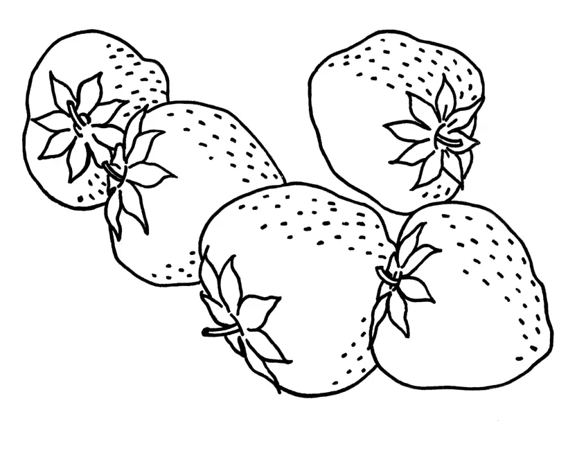 Fresa Para Colorear 18
