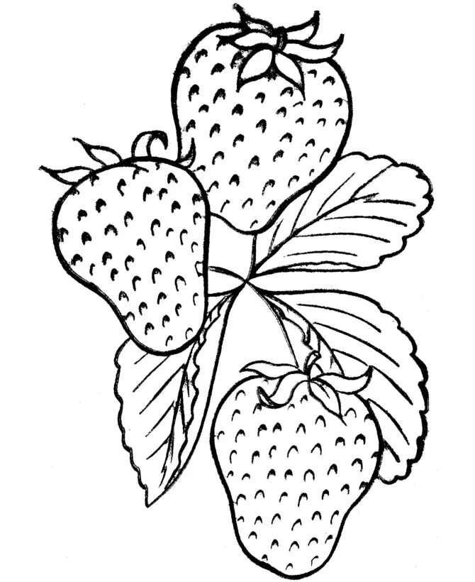 Fresa Para Colorear 19