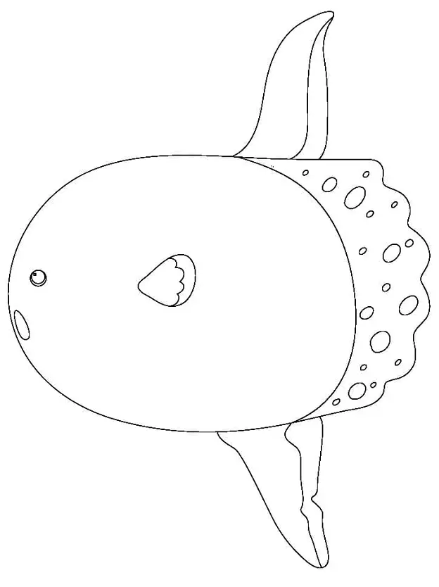 Sunfish Coloring Pages 11
