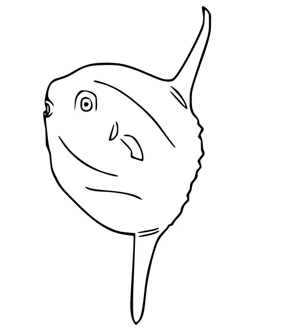 Sunfish Coloring Pages 7