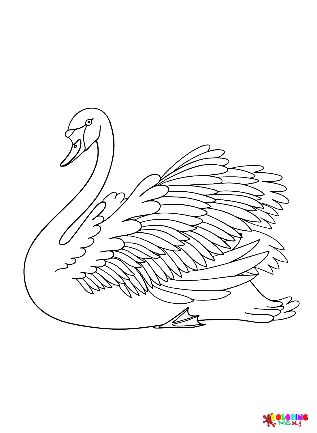 Desenhos de Cisnes Para Colorir 10