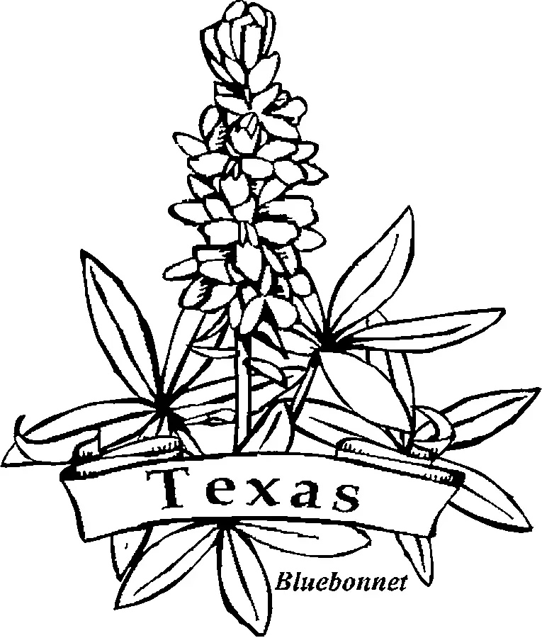 Desenhos de Texas Para Colorir 11