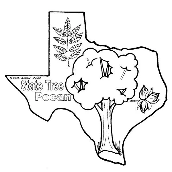 Desenhos de Texas Para Colorir 19