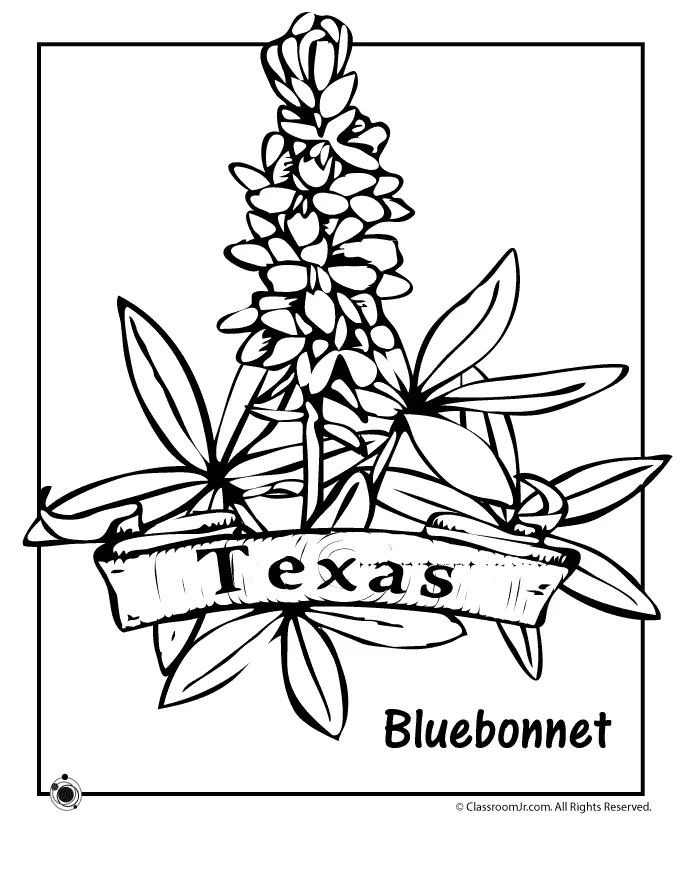Desenhos de Texas Para Colorir 5