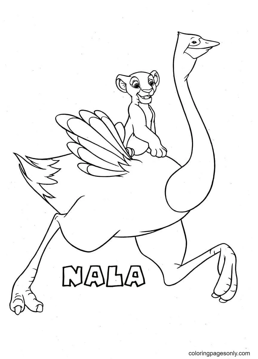 Desenhos do Rei Leao para colorir 48