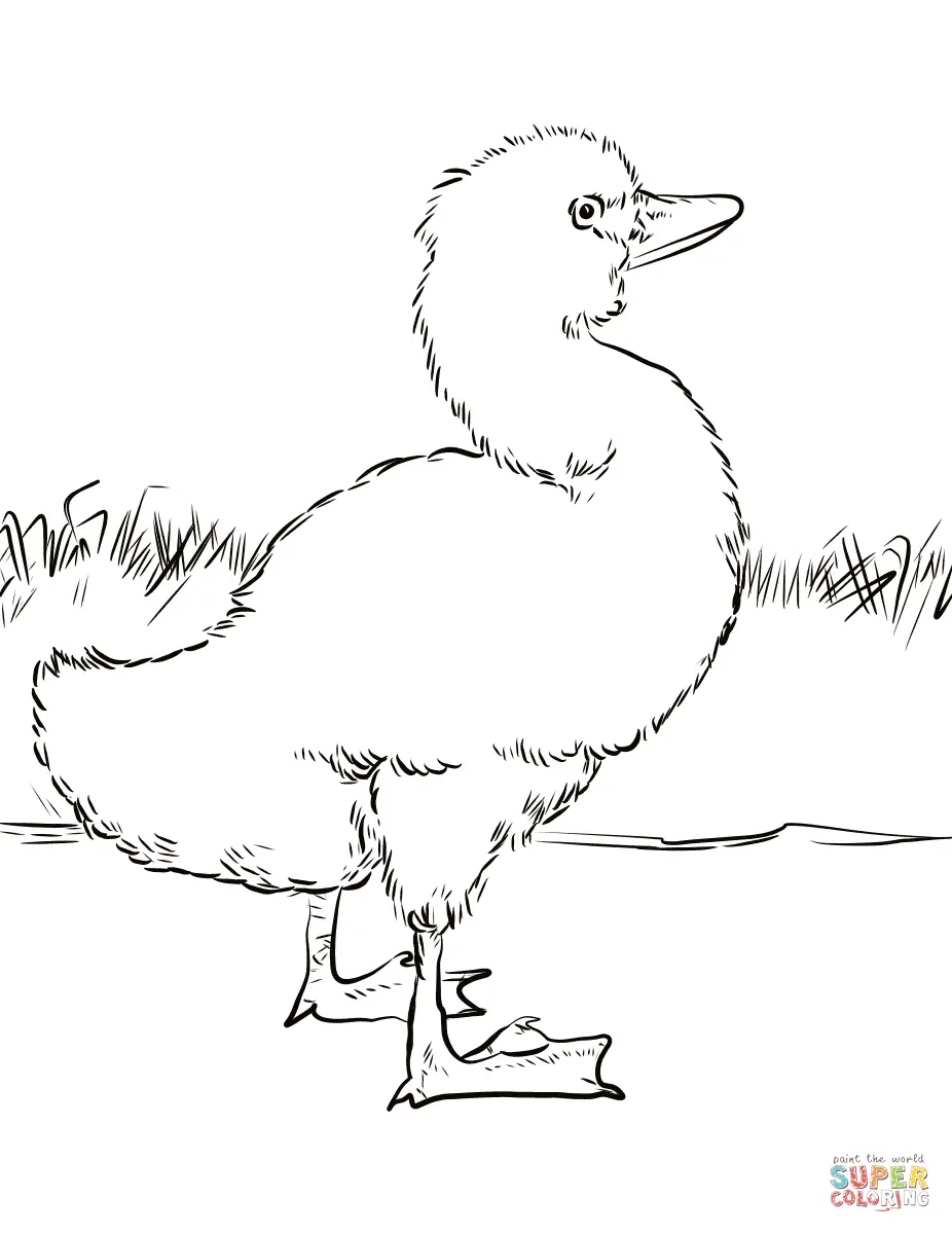 O Patinho Feio Para Colorir 5