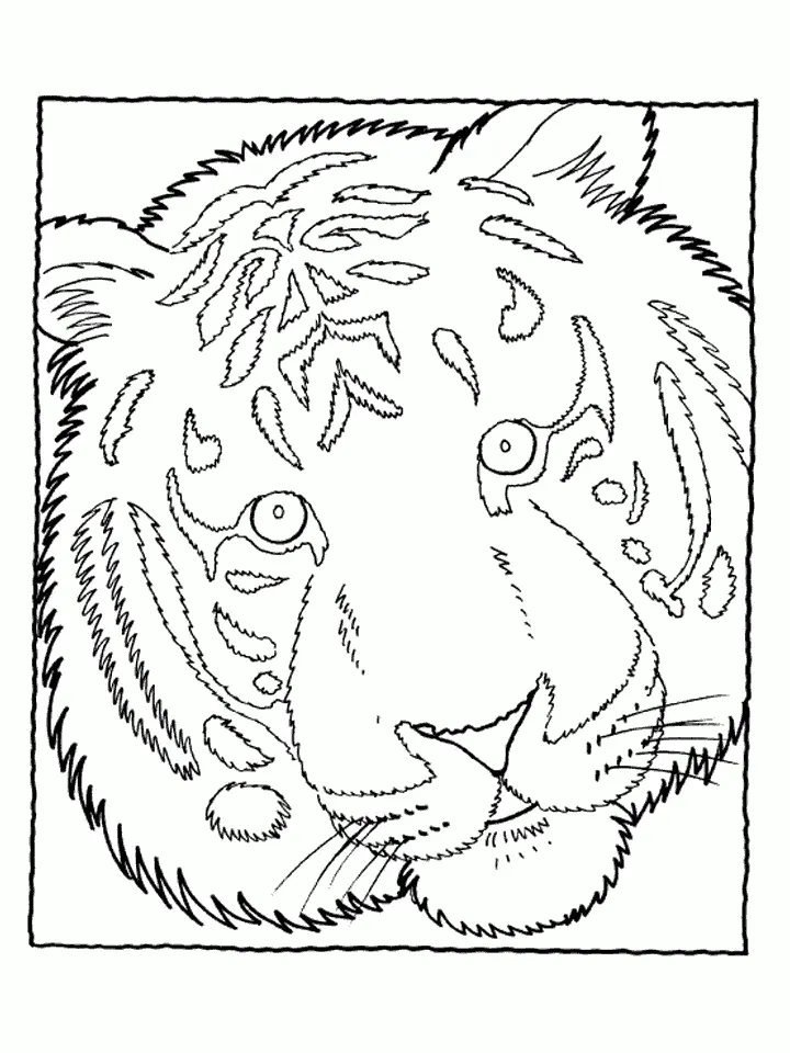 Tiger Coloring Pages 10