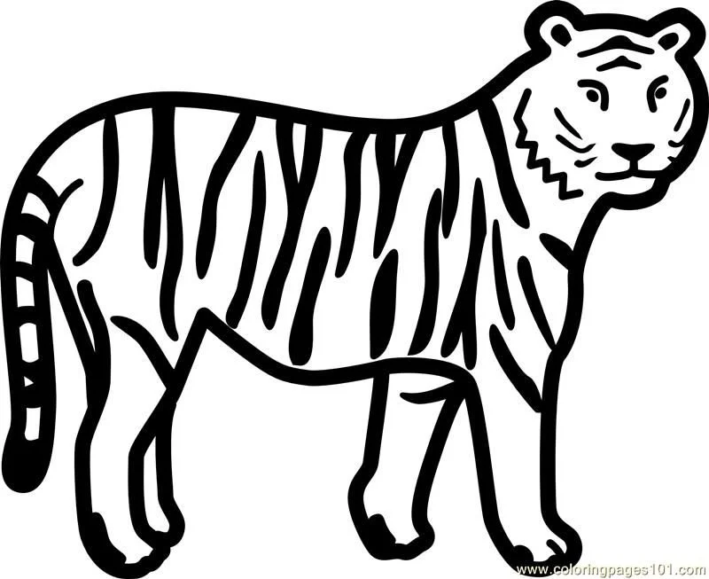 Tiger Coloring Pages 112