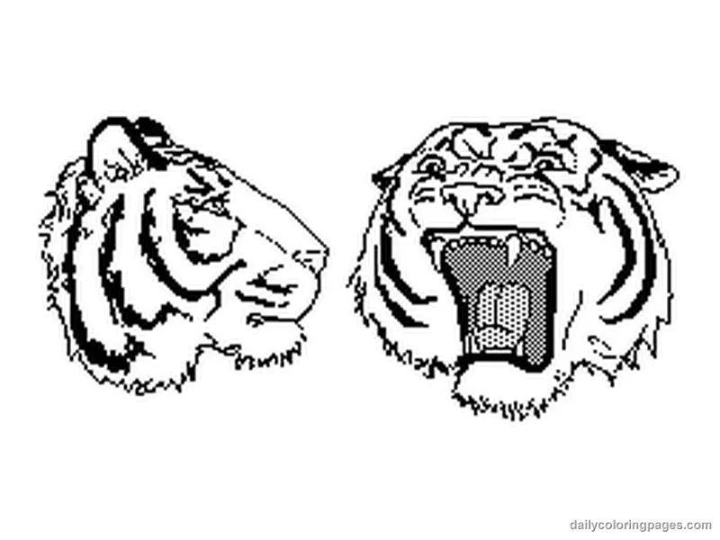 Tiger Coloring Pages 152