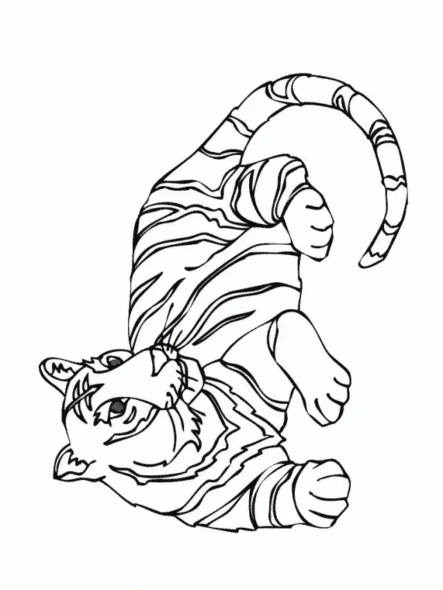 Tiger Coloring Pages 162