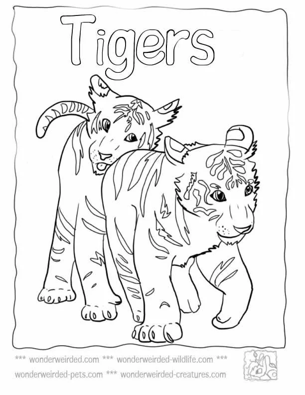 Tiger Coloring Pages 24