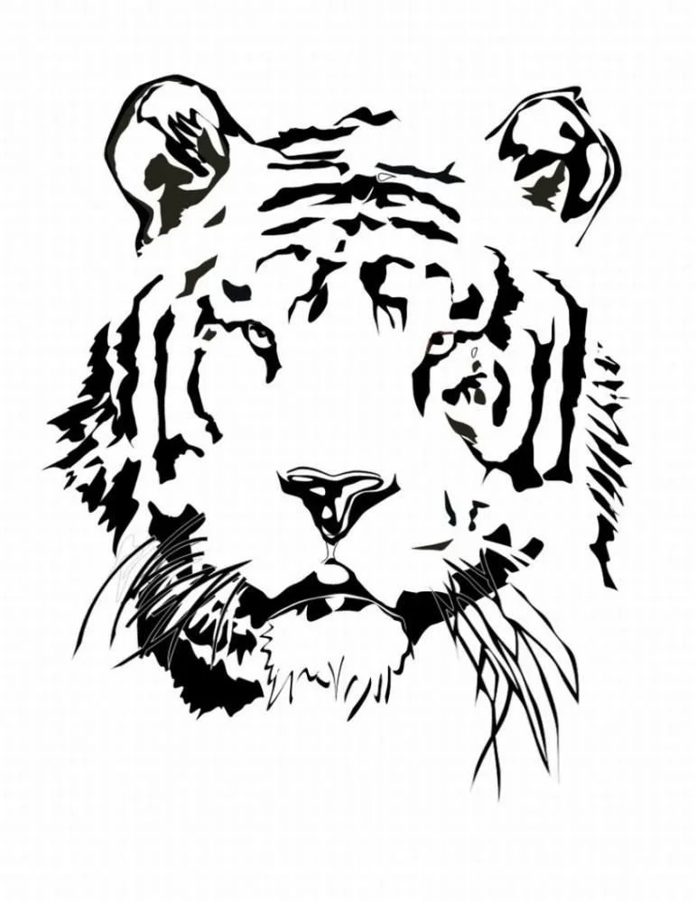 Tiger Coloring Pages 29
