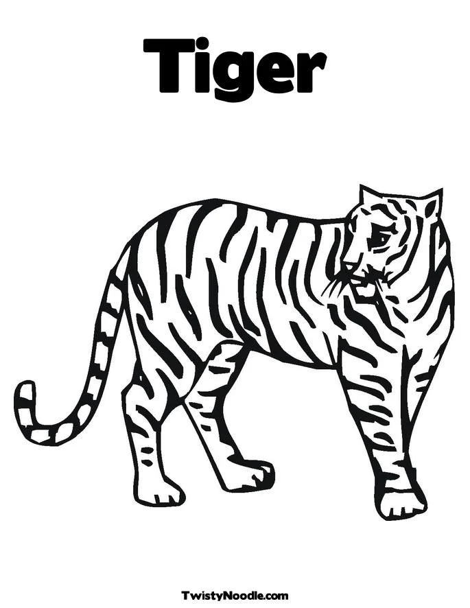 Tiger Coloring Pages 30