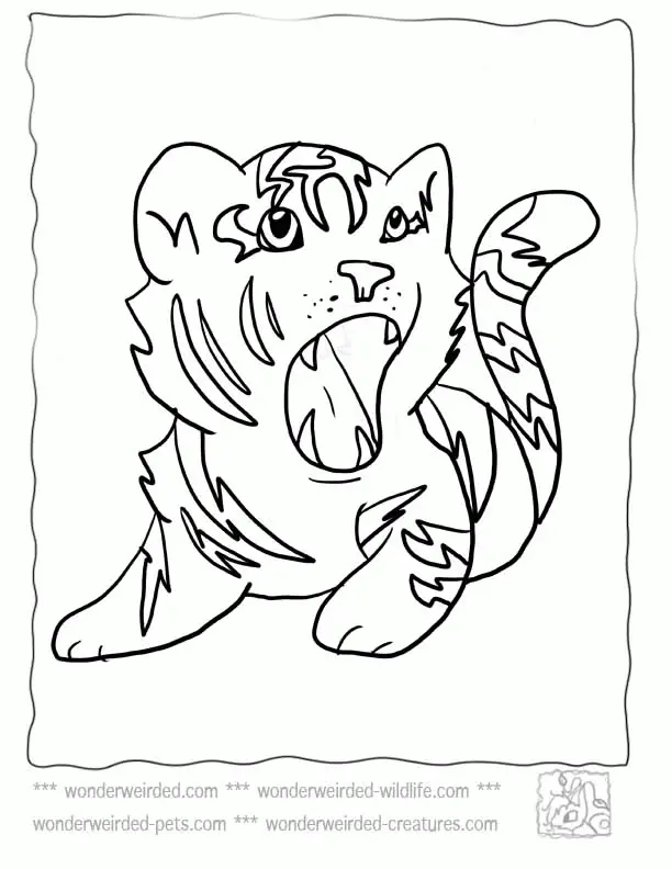 Tiger Coloring Pages 57