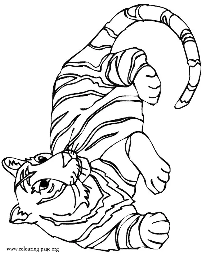 Tiger Coloring Pages 8