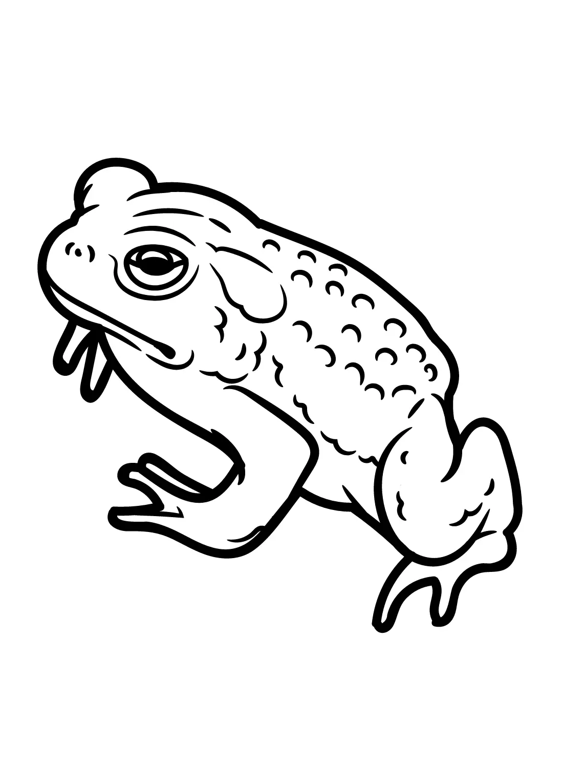 Toad Coloring Pages 19