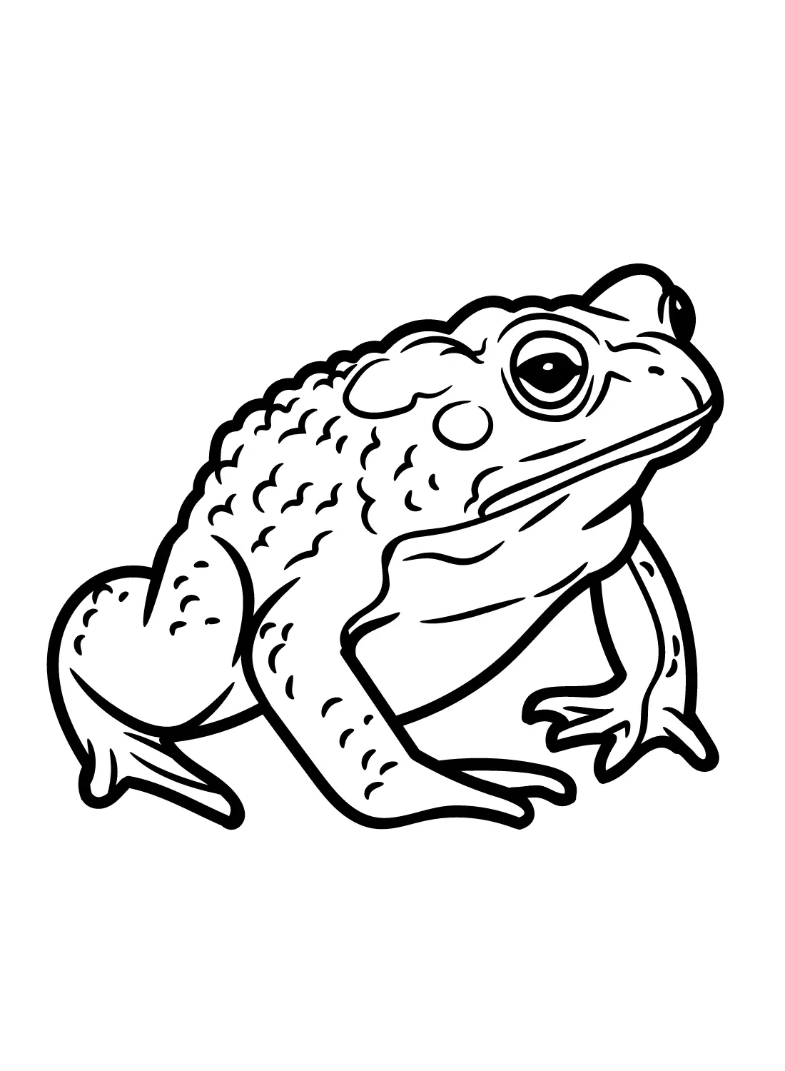 Toad Coloring Pages 2